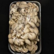 Вешенки грибы, 300 гр., цена за уп.