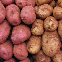 Картофель свежий, кг (урожай 2022 года)