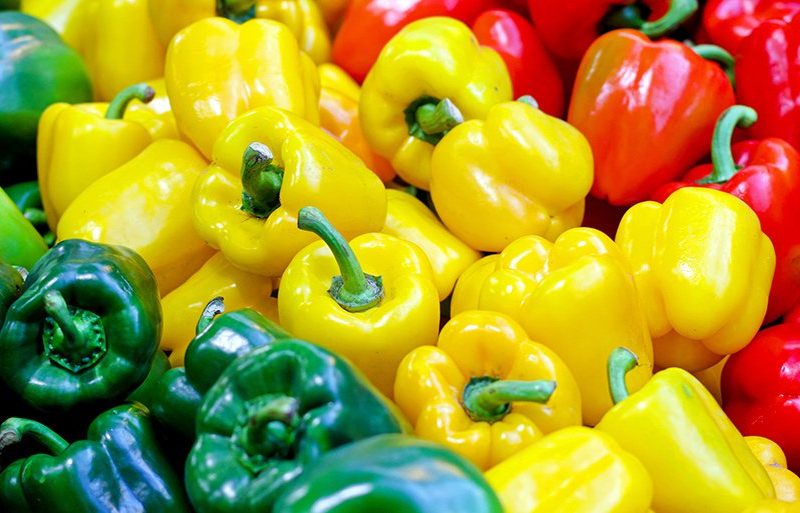 Перец болгарский Красный свежий Импорт, кг