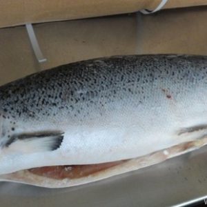 Лосось зам 6-7, кг (продается целиком), цена за кг.