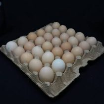 Яйцо С1 10шт