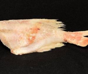 Окунь морской с/м б/г ср. вес 150-300 гр, кг