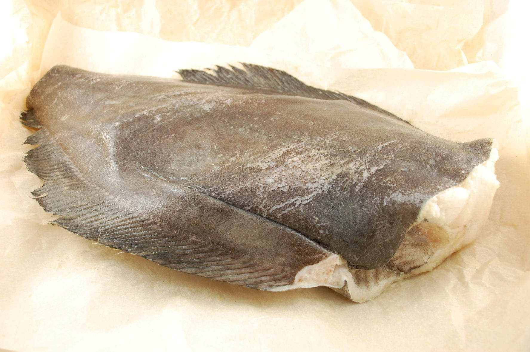 Палтус тушка б/г потр. 0,5-0,1. цена за кг.