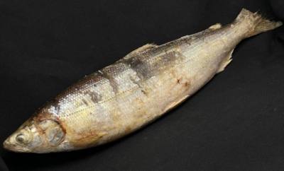 Омуль с/м, (500 гр), цена за кг.