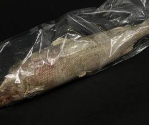 Муксун н/р с/м (ср. вес 0,900-1.2 кг), кг