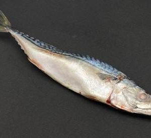 Скумбрия 400-600 с/м н/р, цена за кг.