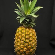 Ананас (средний вес 2 -2,2 кг.), шт.